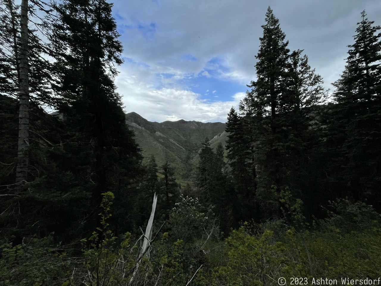 Figure 5: View from the trail looking at Church Fork or Grandeur Peak—I forget which